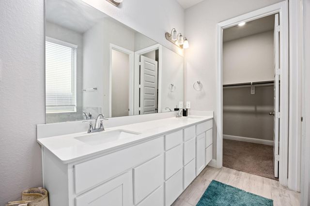 17535 White Baneberry Drive, Conroe, TX 77385