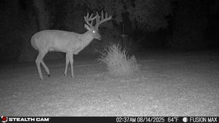 TBD 630th Street, Claremont Twp, MN 55924