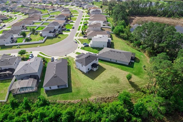 3880 FESCUE STREET, Clermont, FL 34714