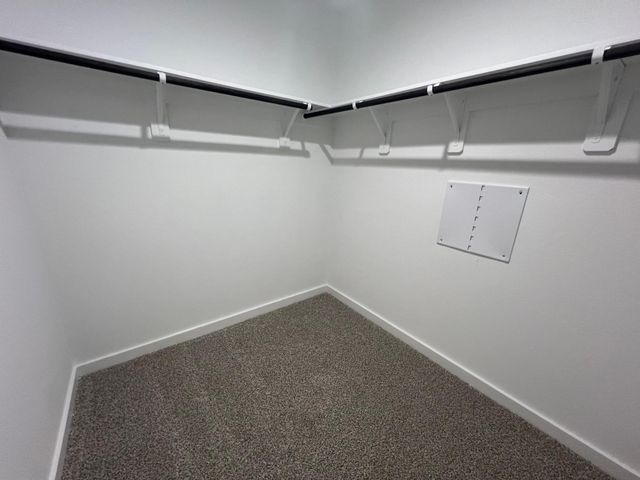 1107 Fringed Bluestar Drive, Rosharon, TX 77583