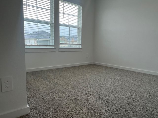 1107 Fringed Bluestar Drive, Rosharon, TX 77583