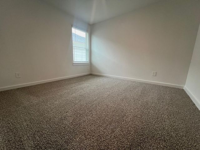 1107 Fringed Bluestar Drive, Rosharon, TX 77583