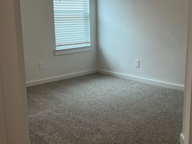 1107 Fringed Bluestar Drive, Rosharon, TX 77583