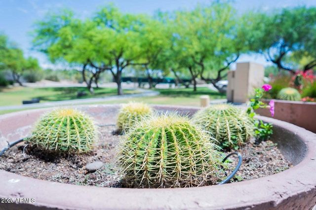 7684 E Balao Drive, Scottsdale, AZ 85266