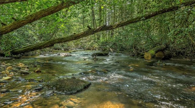 70 Stanley Creek Cross, Blue Ridge, GA 30513