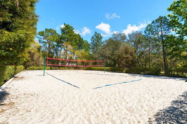 13454 GOLDEN LIME AVENUE, Spring Hill, FL 34609