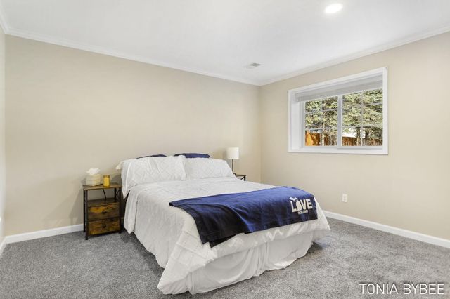 11157 Stanton Street, West Olive, MI 49460