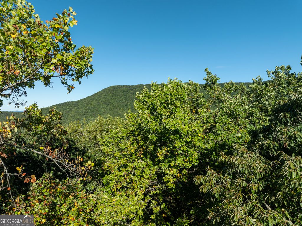 LOT 3 Wilderness Way, Ellijay, GA 30540