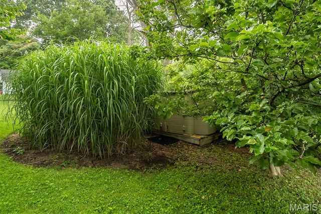 1515 Ann Avenue, Kirkwood, MO 63122