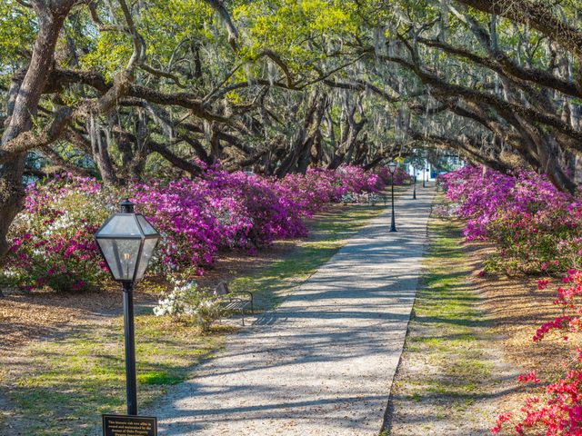 1034 Avenue Of Oaks, Charleston, SC 29407