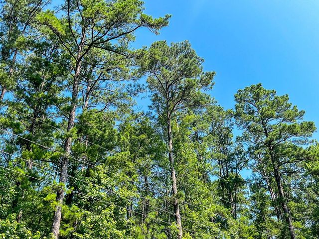 3 Highway 87, Milam, TX 75959