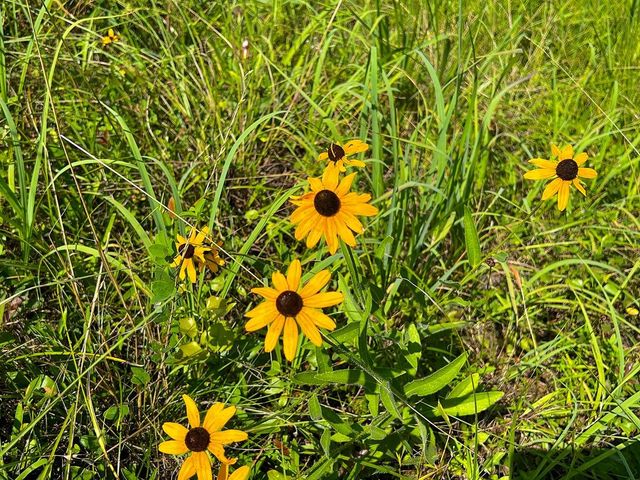 3 Highway 87, Milam, TX 75959