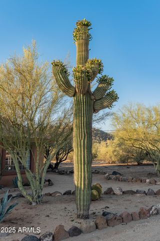 43638 N 22ND Street, New River, AZ 85087