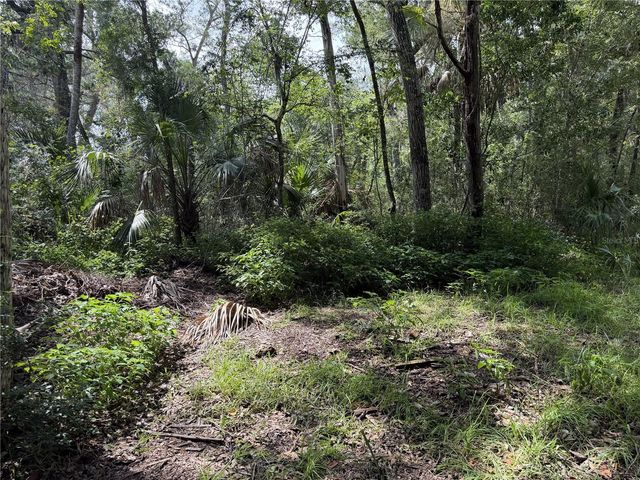 10991 W LONDON LANE, Homosassa, FL 34448