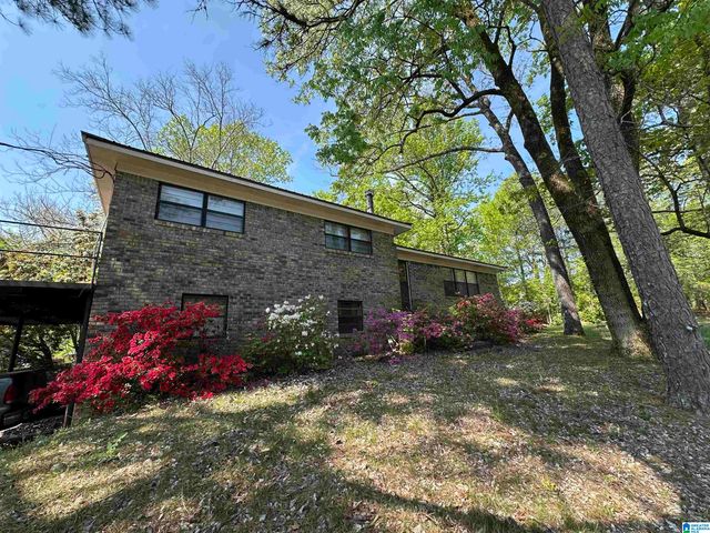 2636 SKYLINE DRIVE, Warrior, AL 35180