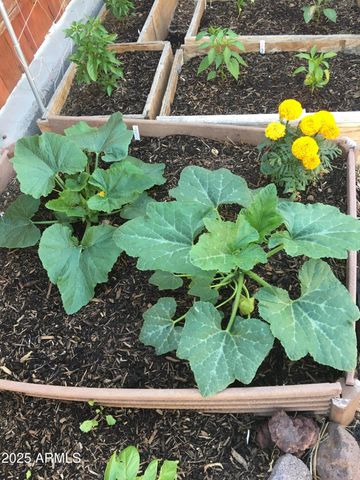 2690 W JACLYN Drive, Flagstaff, AZ 86001