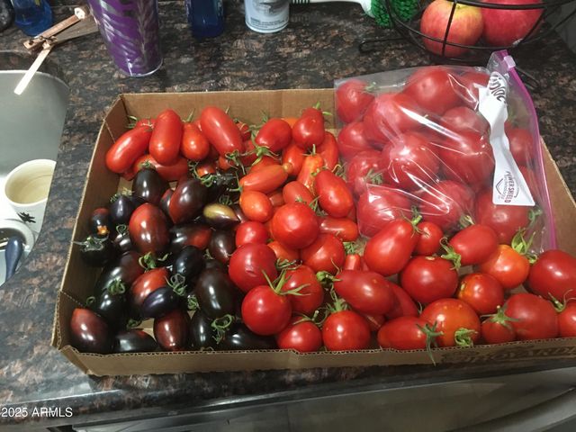 2690 W JACLYN Drive, Flagstaff, AZ 86001