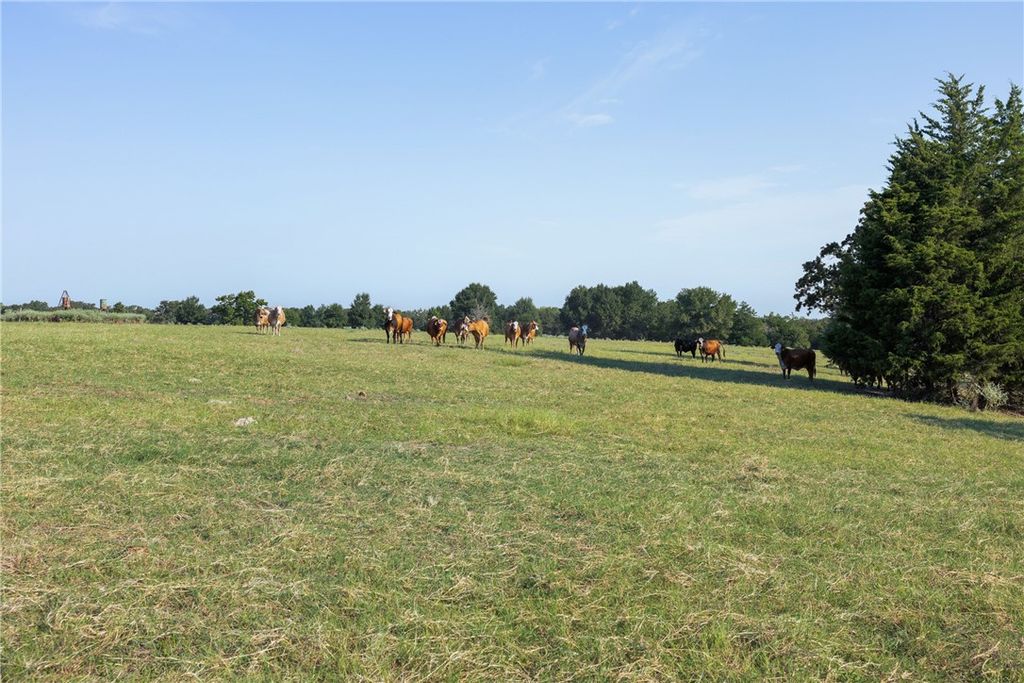 11789 2095 Farm to Market Road, Gause, TX 77857 — photo 2