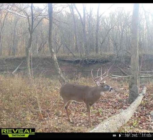 19684 St Rt 41, Oliver Twp, OH 45660