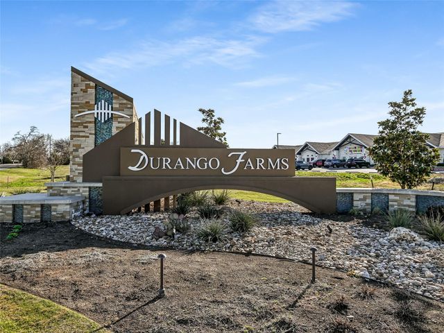 314 Durango Downs DR, Hutto, TX 78634