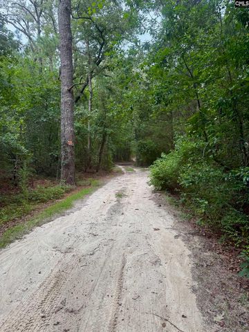 457 George Brown Road, Pelion, SC 29123