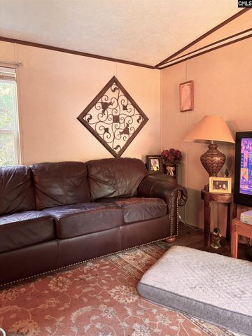 457 George Brown Road, Pelion, SC 29123