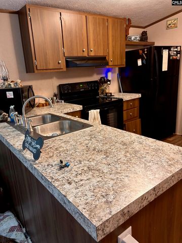 457 George Brown Road, Pelion, SC 29123