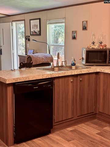 457 George Brown Road, Pelion, SC 29123