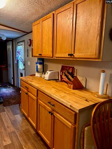 457 George Brown Road, Pelion, SC 29123