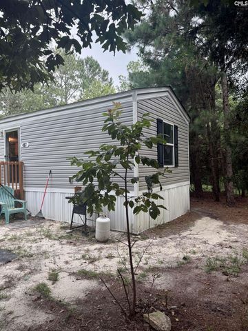 457 George Brown Road, Pelion, SC 29123