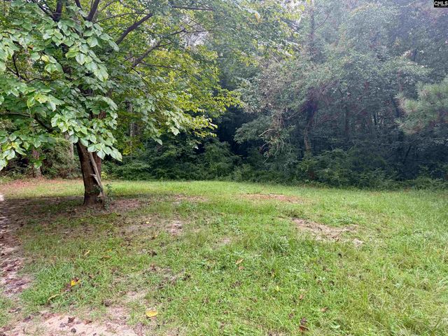 457 George Brown Road, Pelion, SC 29123