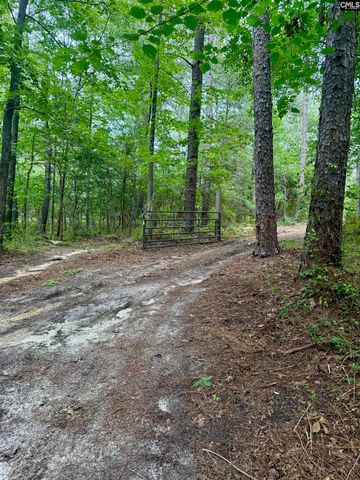 457 George Brown Road, Pelion, SC 29123