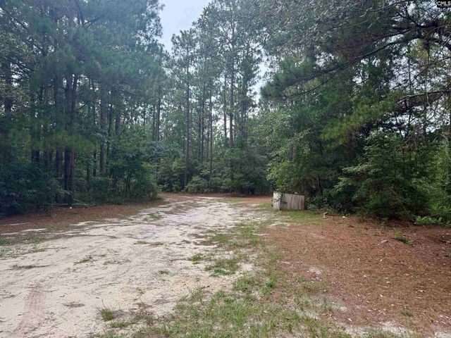 457 George Brown Road, Pelion, SC 29123