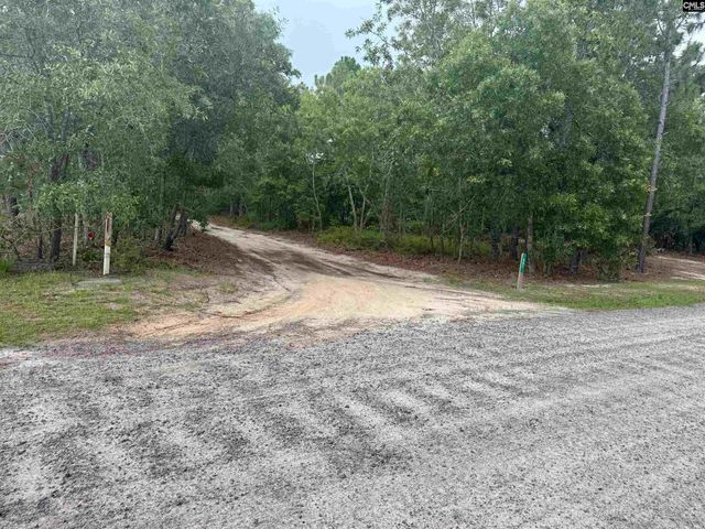 457 George Brown Road, Pelion, SC 29123