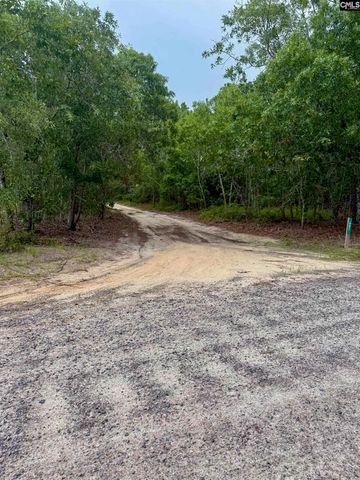 457 George Brown Road, Pelion, SC 29123