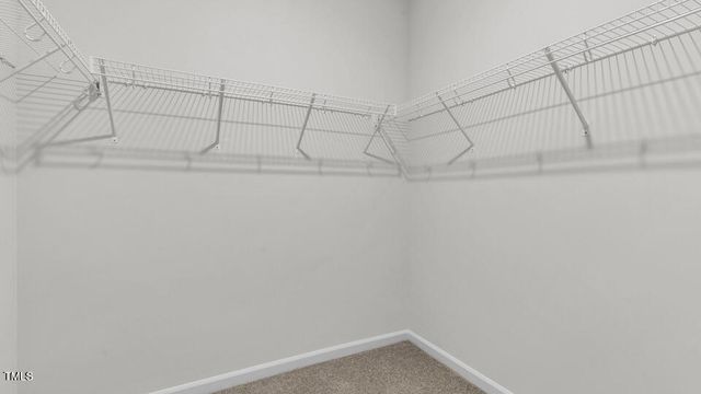 841 Comice Pear Way, Willow Springs, NC 27592