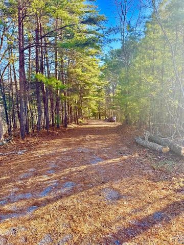 335 Packet Court, Ranger, GA 30734