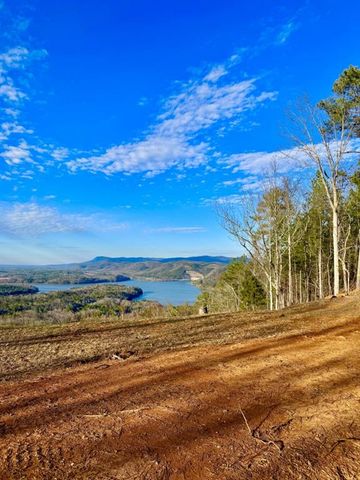 335 Packet Court, Ranger, GA 30734