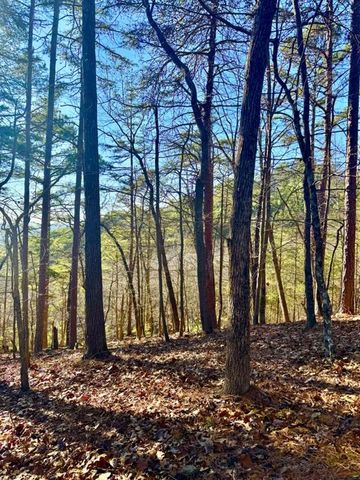 335 Packet Court, Ranger, GA 30734