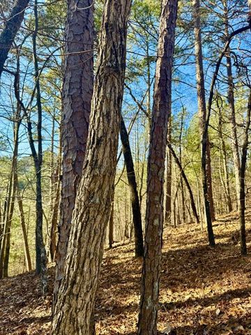 335 Packet Court, Ranger, GA 30734