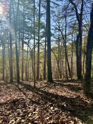 335 Packet Court, Ranger, GA 30734