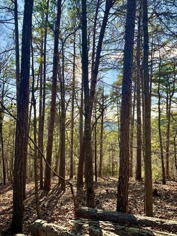 335 Packet Court, Ranger, GA 30734