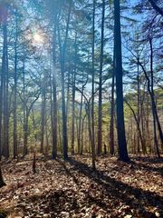 335 Packet Court, Ranger, GA 30734