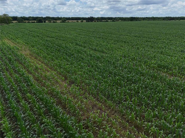 150001 FM 198, Enloe, TX 75441
