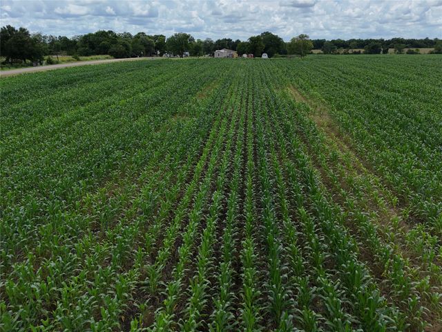 150001 FM 198, Enloe, TX 75441