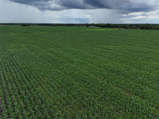 150001 FM 198, Enloe, TX 75441