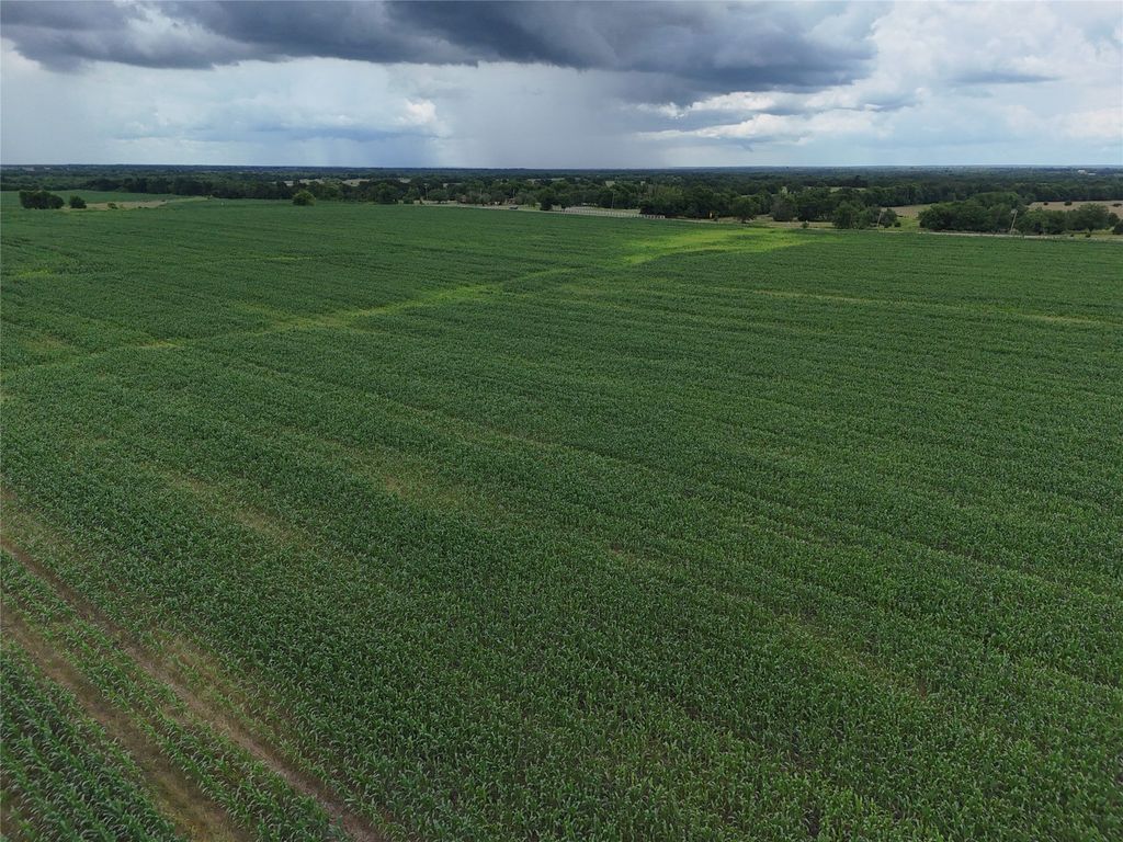 150001 FM 198, Enloe, TX 75441