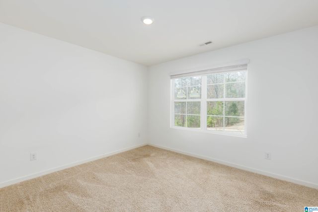 312 ROCK TERRACE DRIVE, Helena, AL 35080