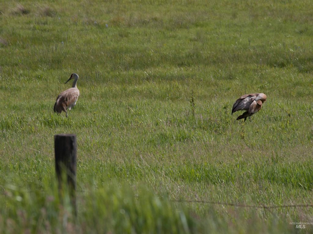 Blk 8 Lot 23 Wapiti Ct, Garden Valley, ID 83622 photo 50