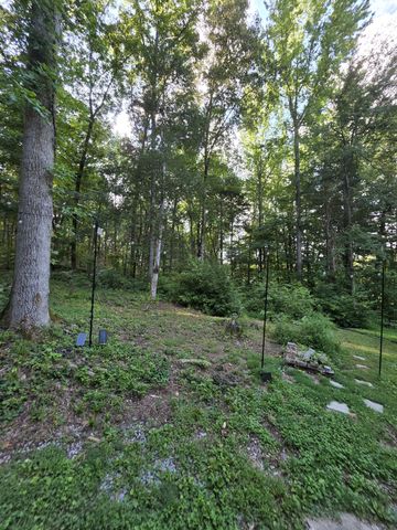 4980 Louise Creek Rd, Cunningham, TN 37052